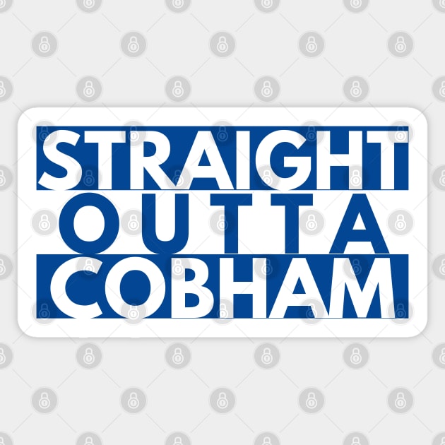 COBHAM CHELSEA PRIDE Sticker by jocela.png